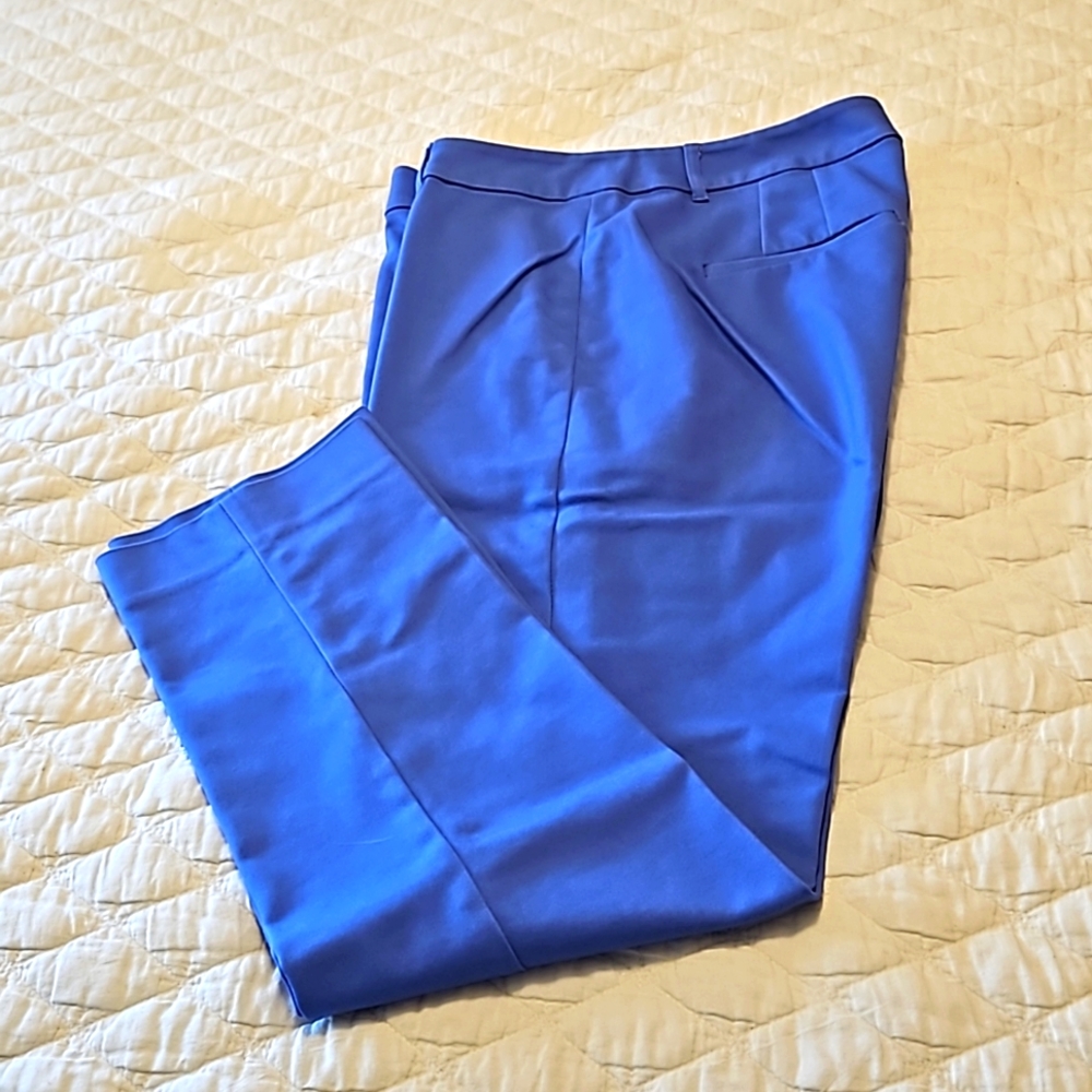 WHBM blue capris, 8